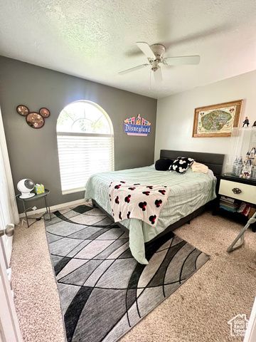 233 S 500 W, Monroe, UT 84754