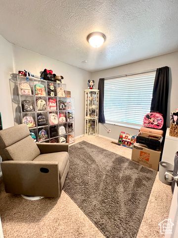 233 S 500 W, Monroe, UT 84754