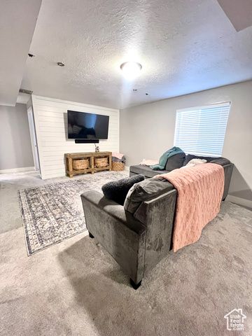 233 S 500 W, Monroe, UT 84754