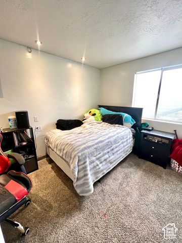 233 S 500 W, Monroe, UT 84754