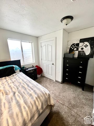 233 S 500 W, Monroe, UT 84754