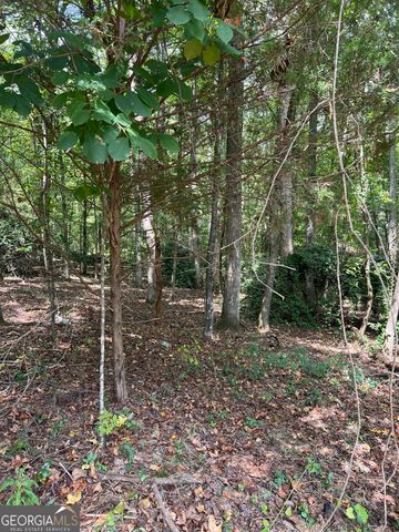 0 Barouche Drive, Thomaston, GA 30286