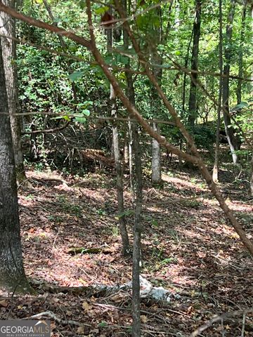 0 Barouche Drive, Thomaston, GA 30286