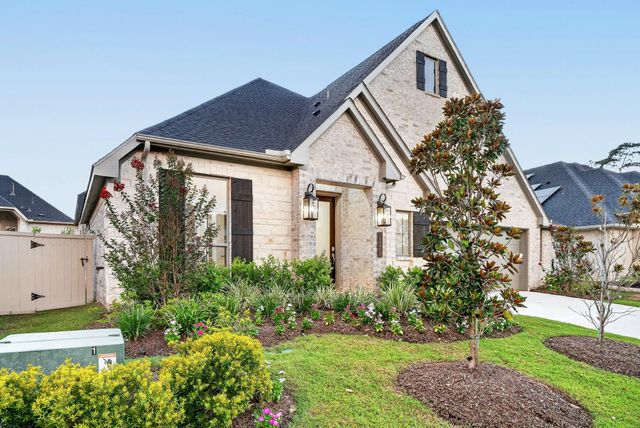 15265 Tree Swallow Court, Magnolia, TX 77354