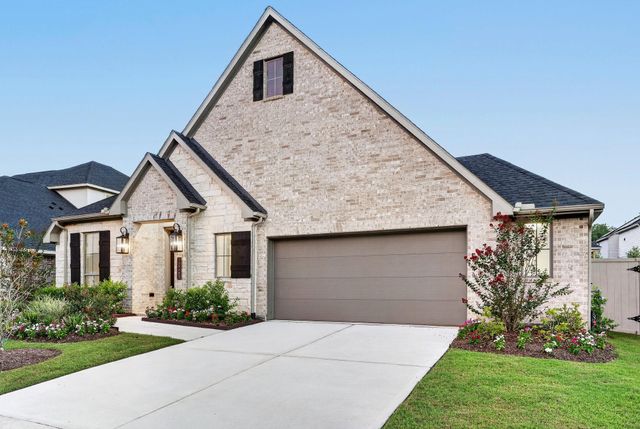15265 Tree Swallow Court, Magnolia, TX 77354