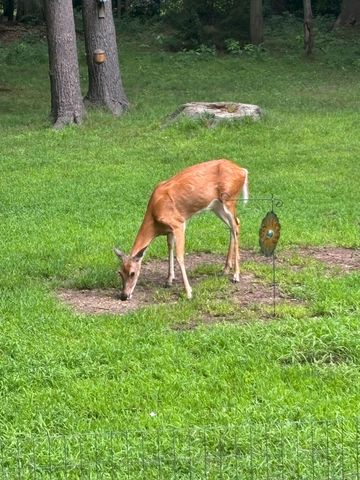 9995 Community Hall Road, New Buffalo Twp, MI 49129