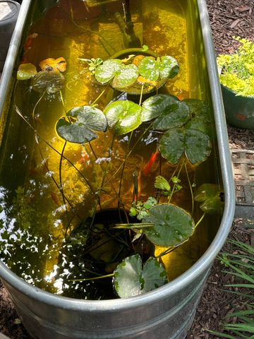 9995 Community Hall Road, New Buffalo Twp, MI 49129