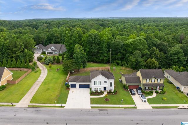 4338 OLD CAHABA PARKWAY, Helena, AL 35080