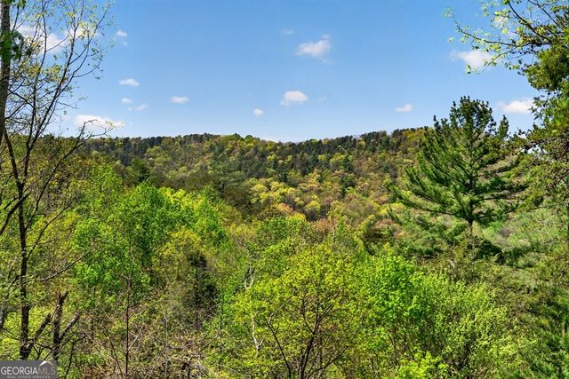 564 Weaver Creek Lane, Blue Ridge, GA 30513
