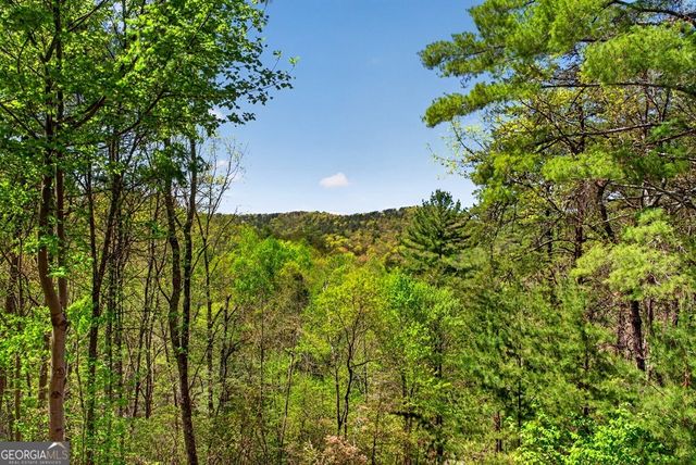 564 Weaver Creek Lane, Blue Ridge, GA 30513