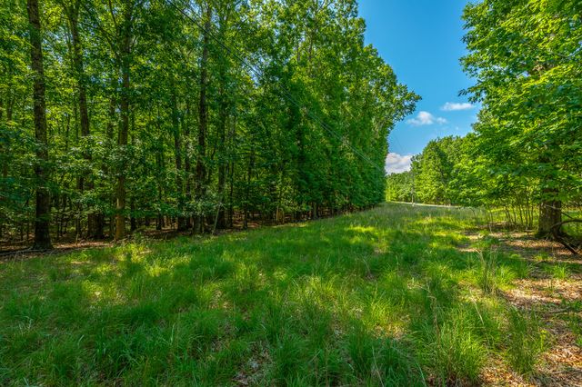 0 Deep Woods Road, Sewanee, TN 37375