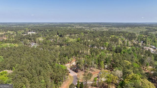 1230 Lake Drive, Greensboro, GA 30642