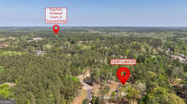 1230 Lake Drive, Greensboro, GA 30642