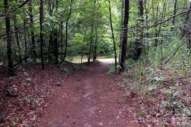 30 Double Brook Drive, Weaverville, NC 28787
