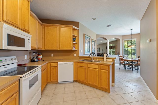 19182 LAKE AUDUBON DRIVE, Tampa, FL 33647