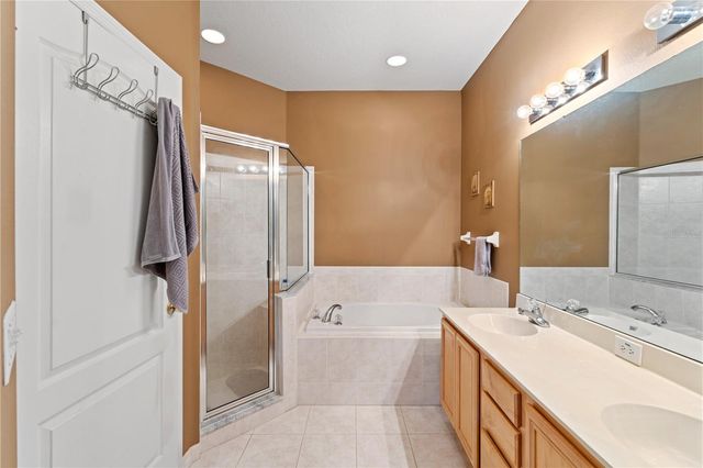 19182 LAKE AUDUBON DRIVE, Tampa, FL 33647