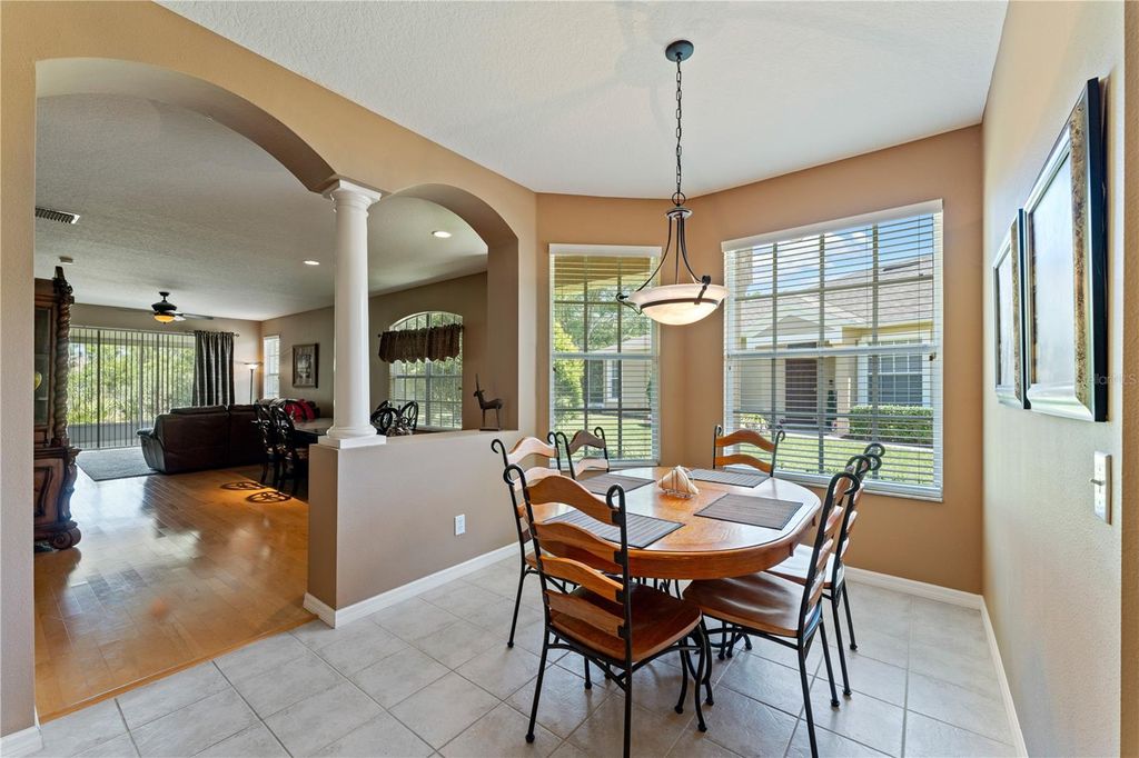 Image 13 of property listing at 19182 LAKE AUDUBON DRIVE, Tampa, FL 33647
