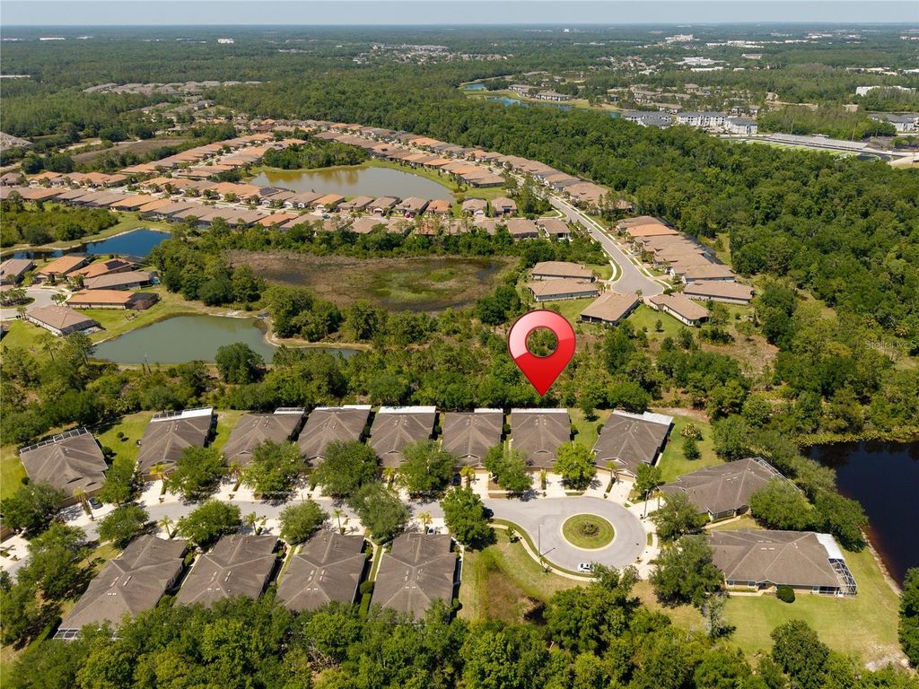 Image 40 of property listing at 19182 LAKE AUDUBON DRIVE, Tampa, FL 33647