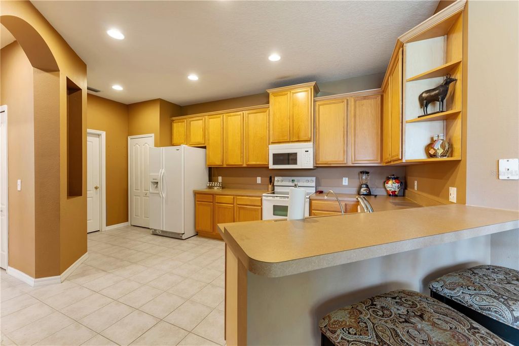 Image 10 of property listing at 19182 LAKE AUDUBON DRIVE, Tampa, FL 33647