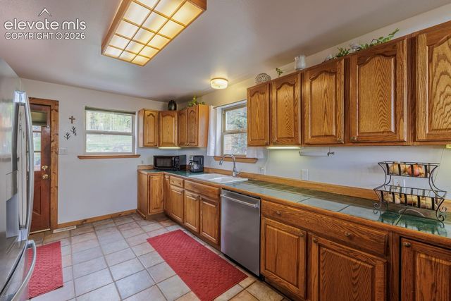 124 Bear Trail, Lake George, CO 80827