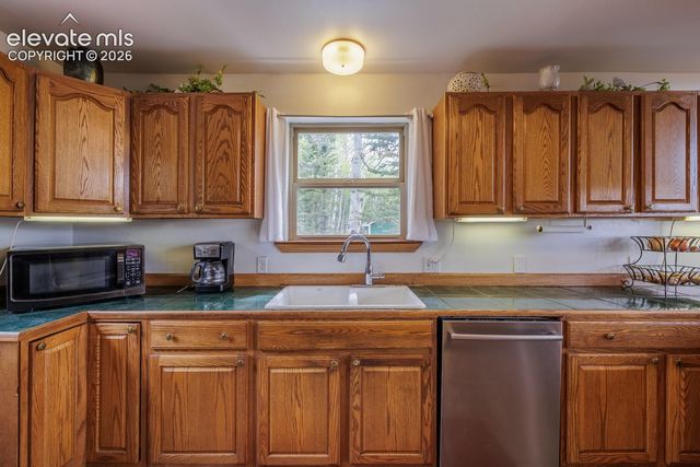 124 Bear Trail, Lake George, CO 80827
