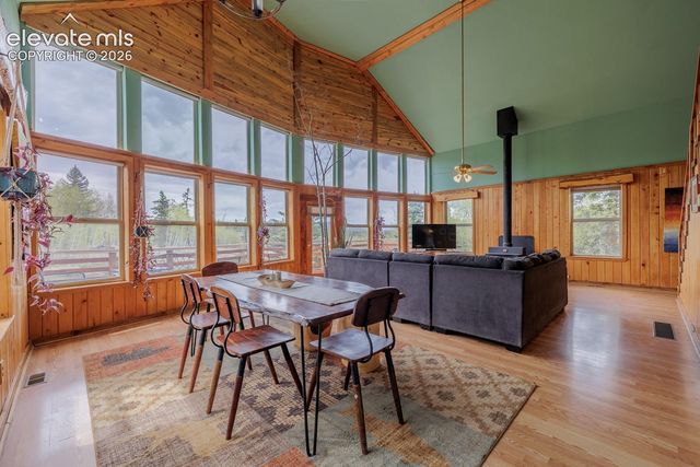 124 Bear Trail, Lake George, CO 80827