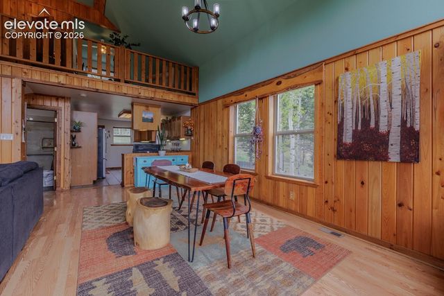 124 Bear Trail, Lake George, CO 80827
