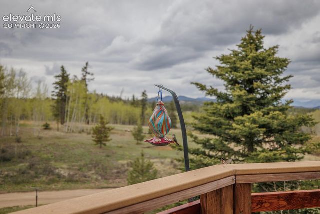 124 Bear Trail, Lake George, CO 80827