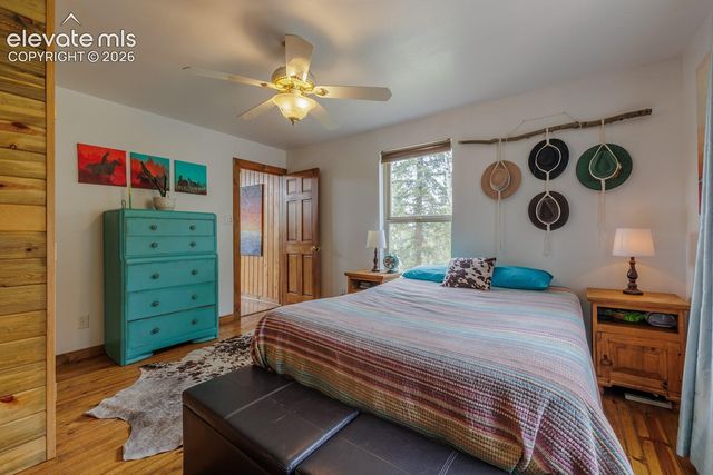 124 Bear Trail, Lake George, CO 80827