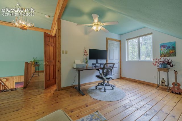 124 Bear Trail, Lake George, CO 80827