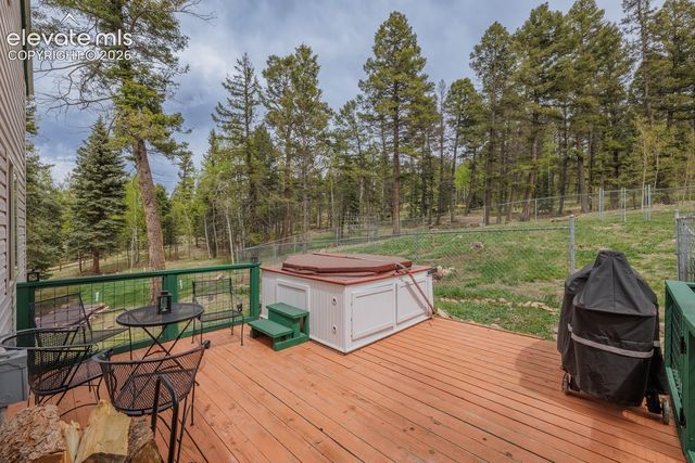 124 Bear Trail, Lake George, CO 80827