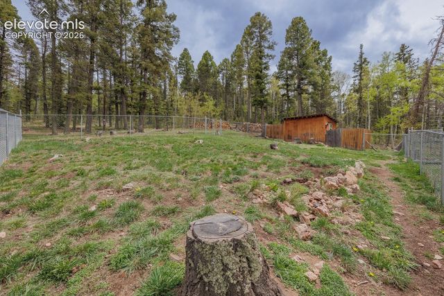 124 Bear Trail, Lake George, CO 80827