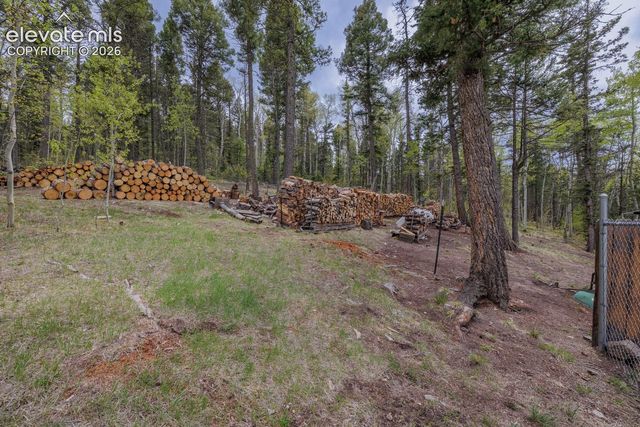 124 Bear Trail, Lake George, CO 80827