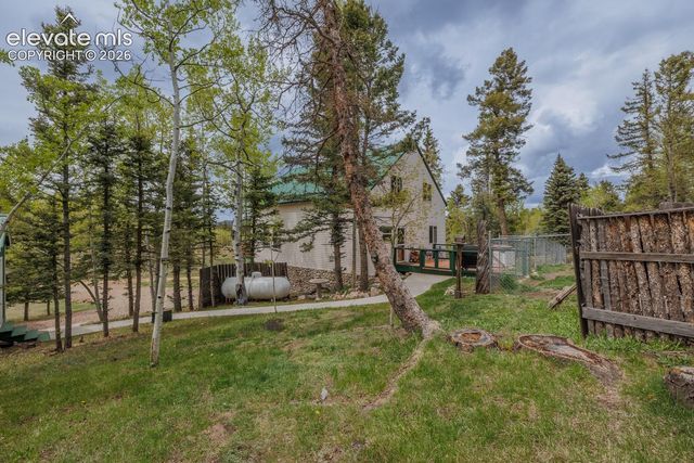 124 Bear Trail, Lake George, CO 80827