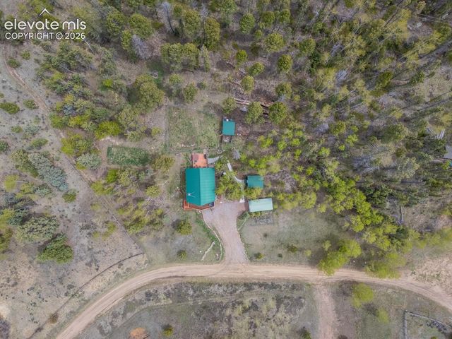 124 Bear Trail, Lake George, CO 80827