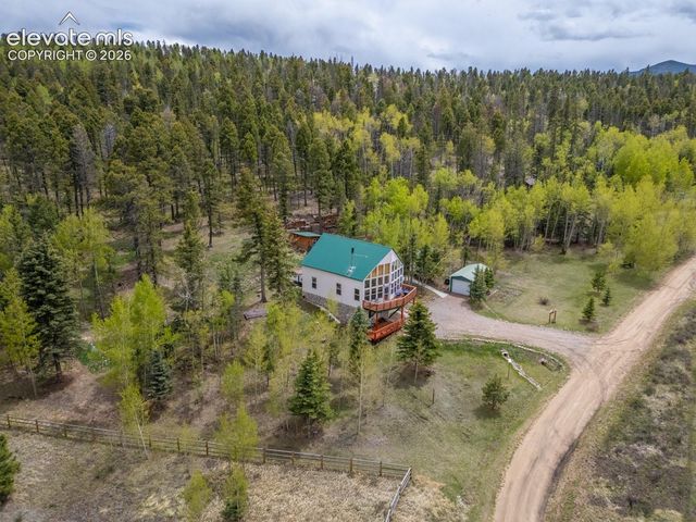 124 Bear Trail, Lake George, CO 80827