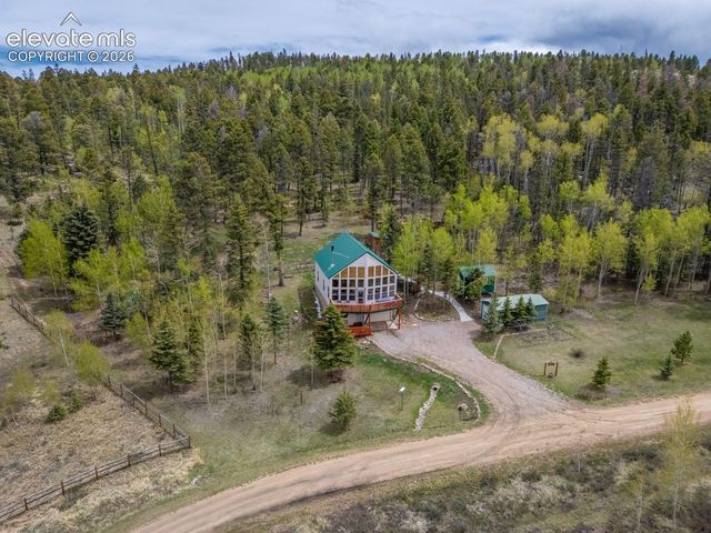 124 Bear Trail, Lake George, CO 80827