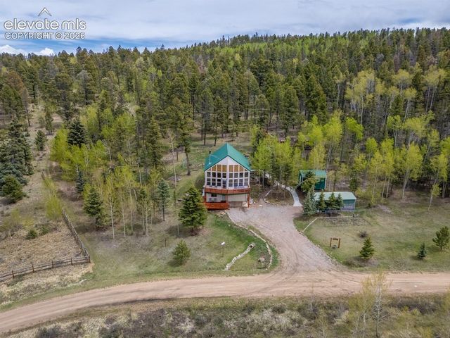 124 Bear Trail, Lake George, CO 80827