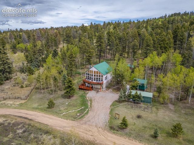 124 Bear Trail, Lake George, CO 80827