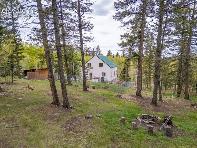 124 Bear Trail, Lake George, CO 80827
