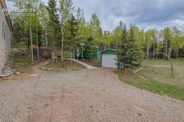 124 Bear Trail, Lake George, CO 80827