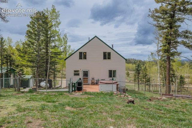 124 Bear Trail, Lake George, CO 80827