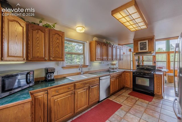 124 Bear Trail, Lake George, CO 80827