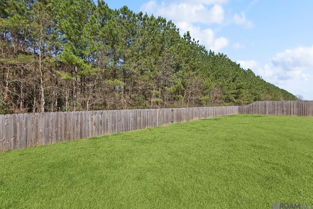 20835 N High Plains Dr, Zachary, LA 70791