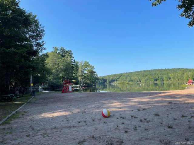 26 E Adirondack Trail, Smallwood, NY 12778