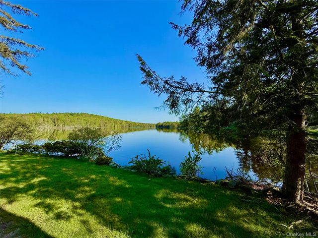 26 E Adirondack Trail, Smallwood, NY 12778