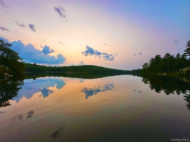 26 E Adirondack Trail, Smallwood, NY 12778