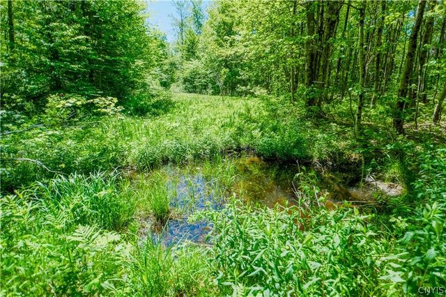 404 Old State Road, Redfield, NY 13437