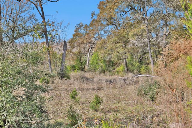 8537 Berger Easement, Anderson, TX 77830