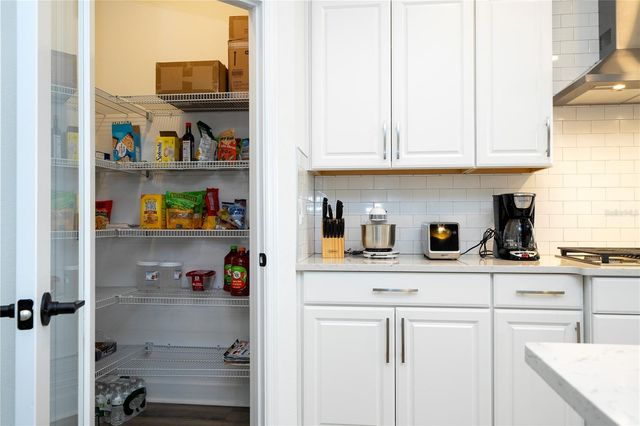 734 CREEPING FIG STREET, Apopka, FL 32703